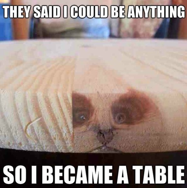 Funny – I Could Be Anything