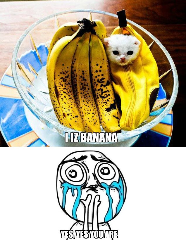I Iz Banana