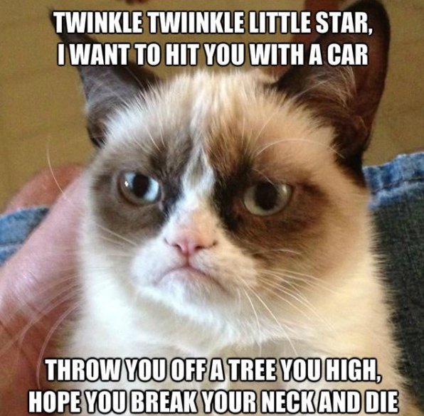 Twinkle Twinkle Grumpy Cat