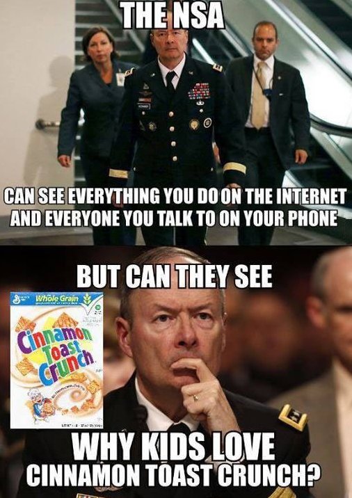 Checkmate NSA