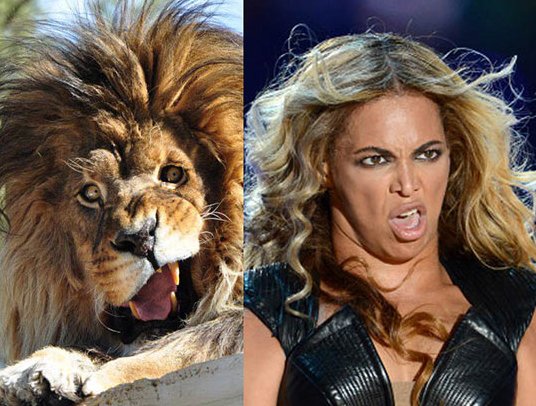 I knew I had seen that lion before