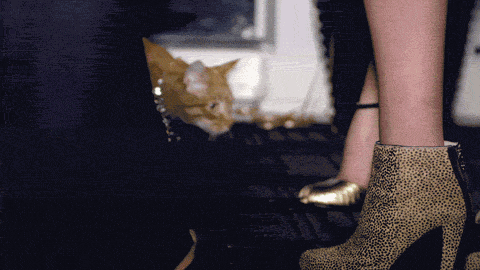 27 Of The Worst Cats You Went To High School With