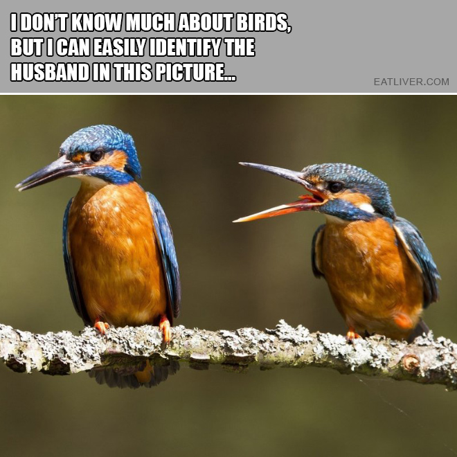 I don't know much about birds, but I can easily identify the husband in this picture.