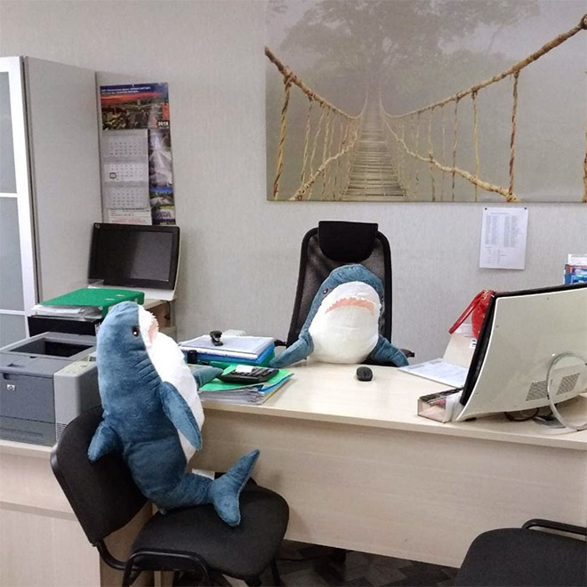 Business sharks.