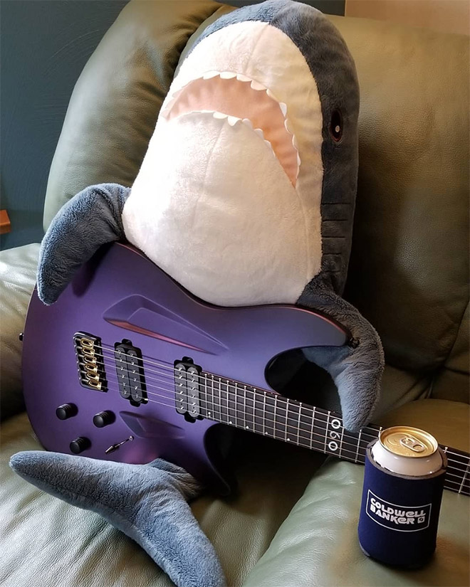 Shark playing a guitar.