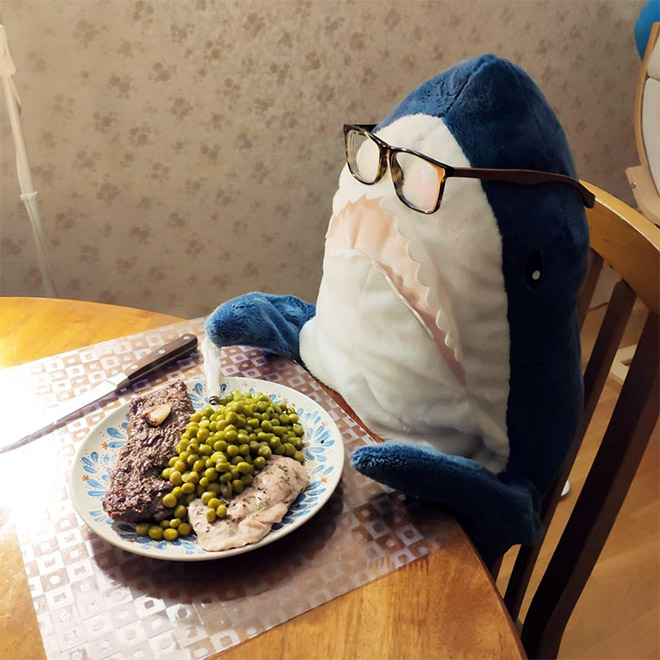 Shark having a nice dinner.