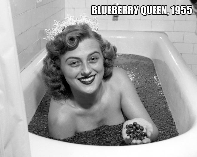Miss Blueberry, 1955