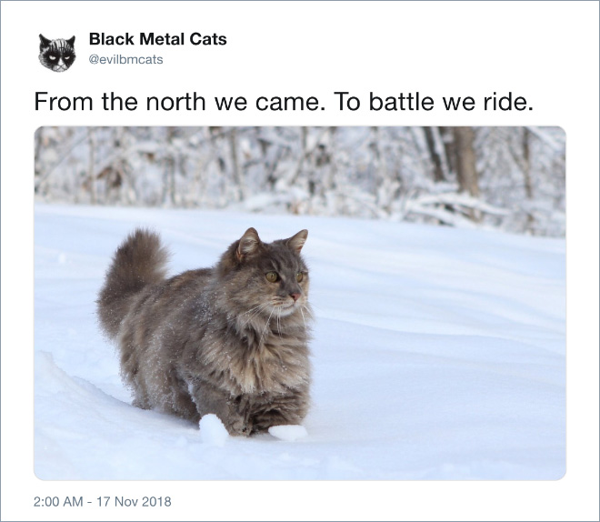 From the north we came. To battle we ride.