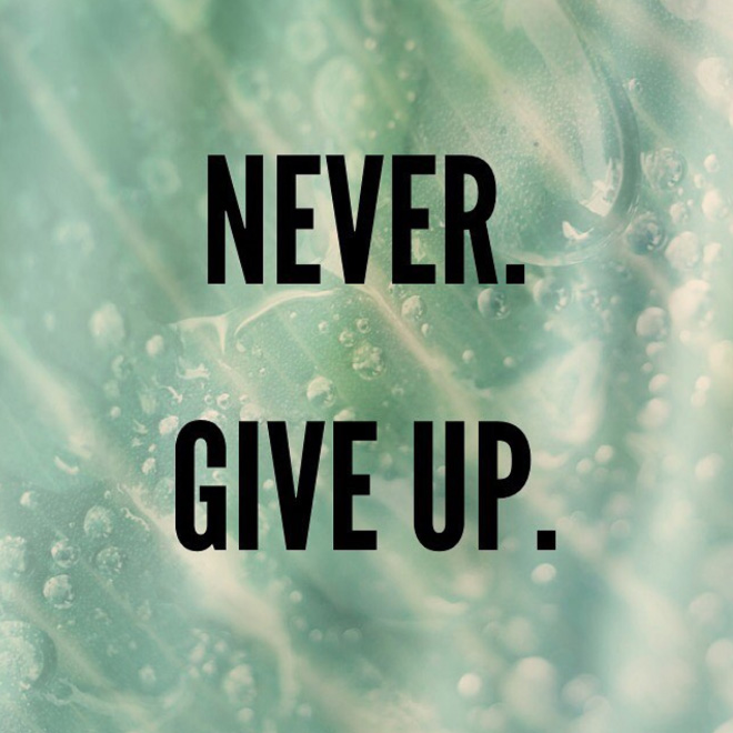 Never. Give up.