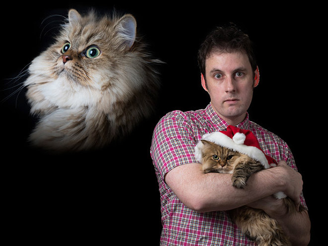 Hilarious Christmas photo with a cat.