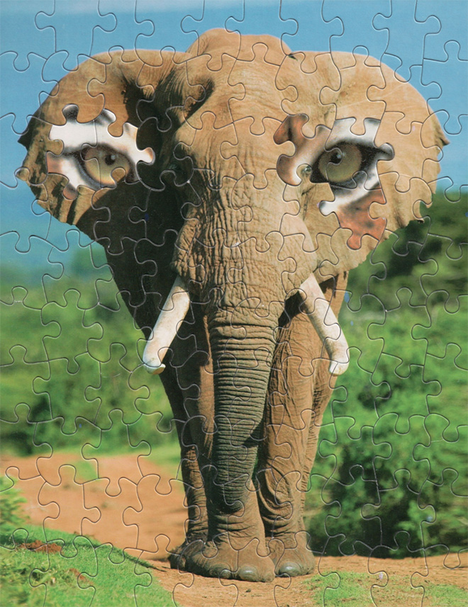Elephant / tiger puzzle montage.