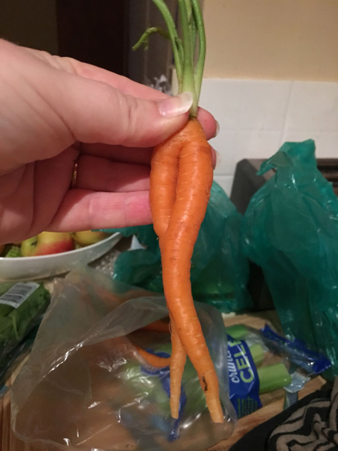 Funny seductive carrot legs.