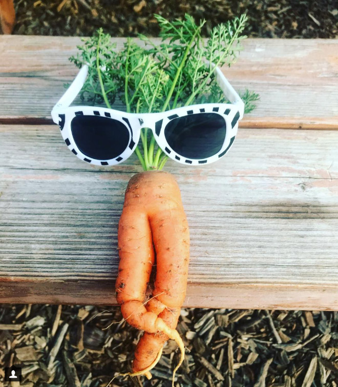 Cool carrot wearing shades.