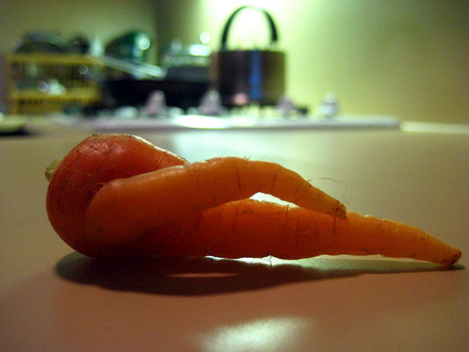 Funny seductive carrot.