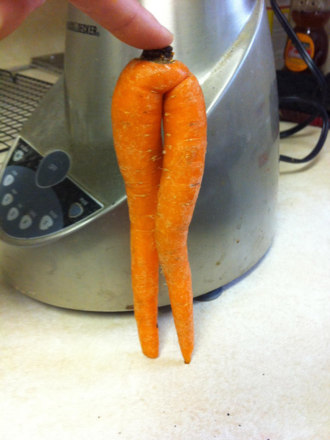 The most seductive carrot legs ever.