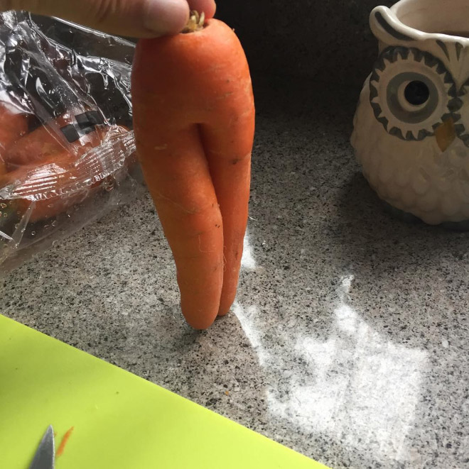 Funny seductive carrot on a kitchen table.