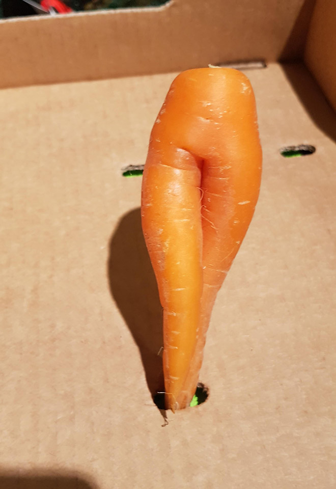 The greatest carrot legs ever.