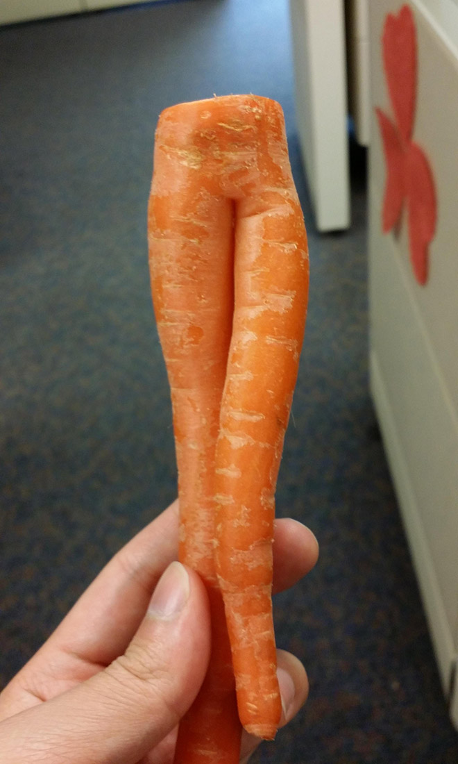 Long seductive carrot legs.