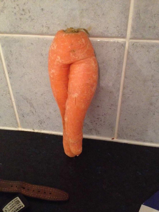 Seductive carrot standing on the kitchen table.