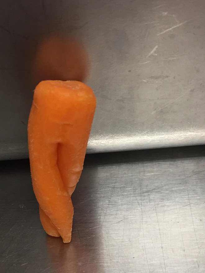Funny standing carrot.
