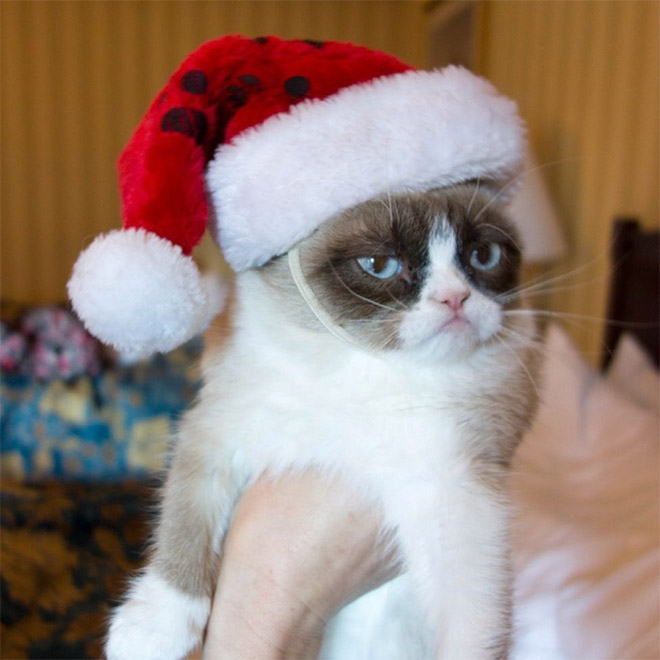 Grumpy cat Santa.