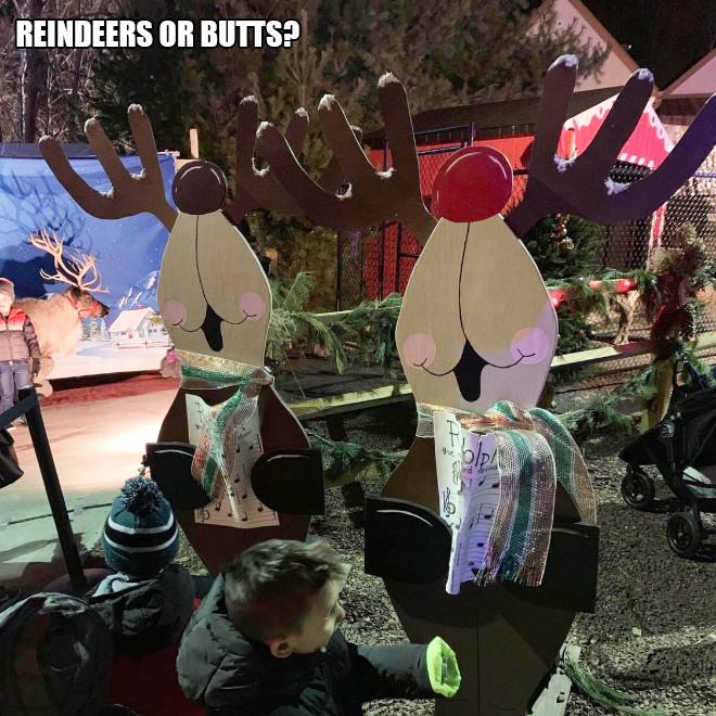 Reindeer butts.
