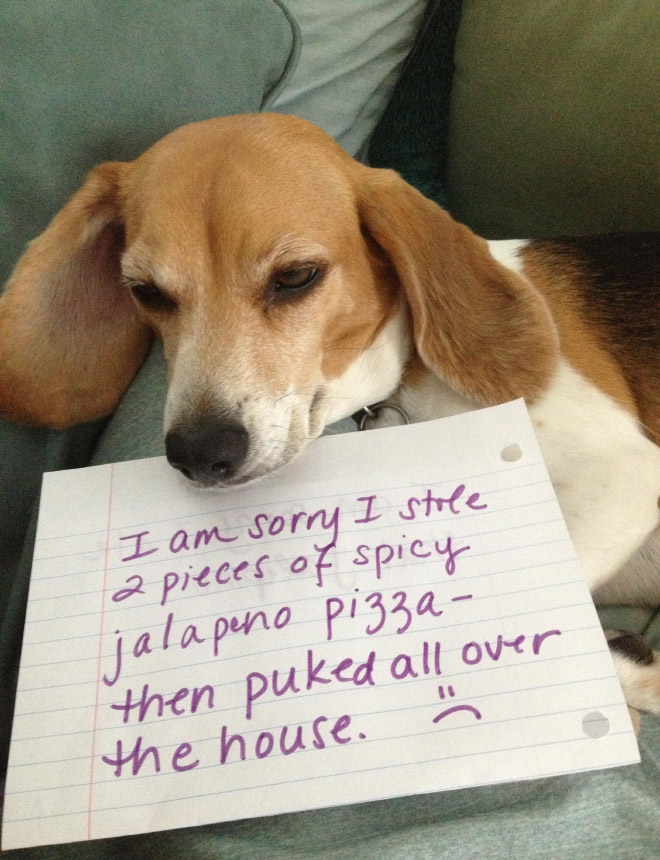 He's not really sorry.