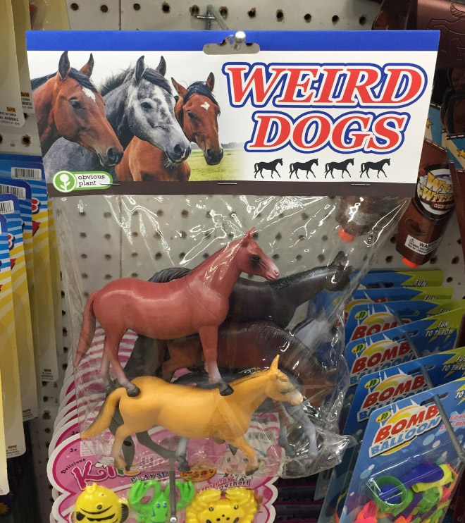 Weird dogs.