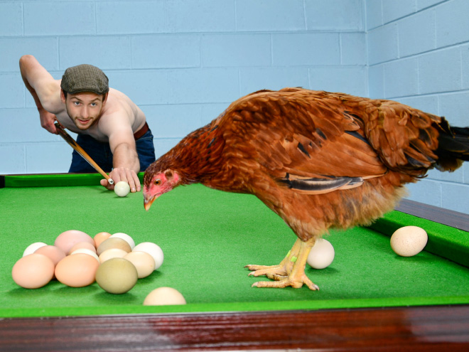 Playing pool with eggs.