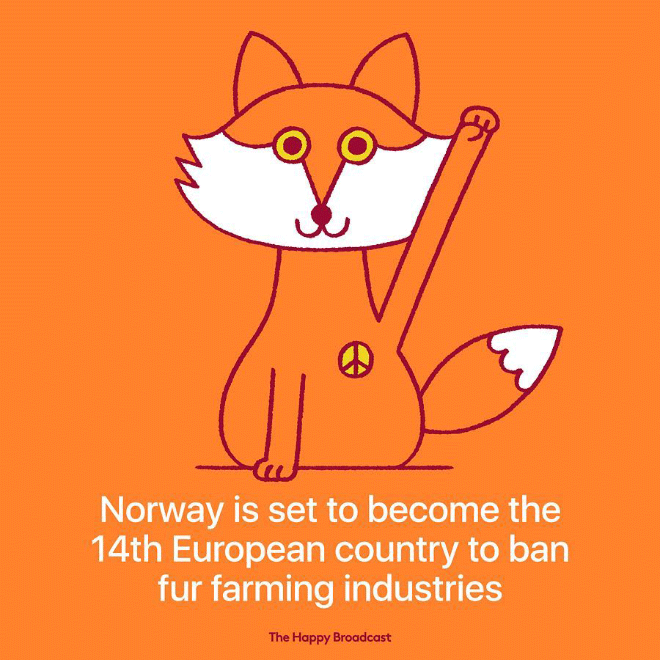 Great news from Norway.
