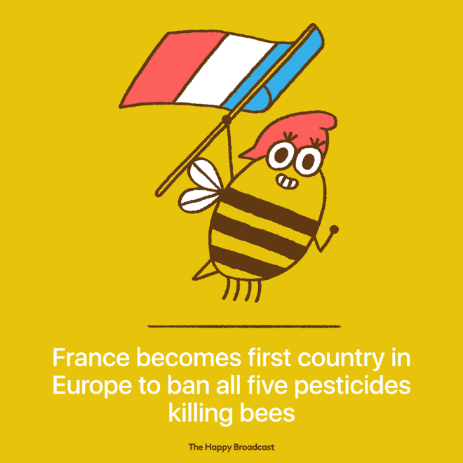Great news from France.