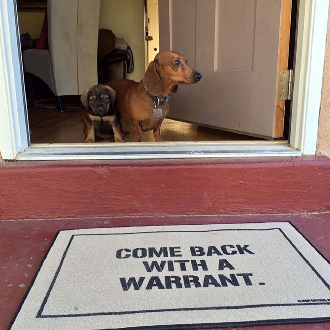 Come back with a warrant.