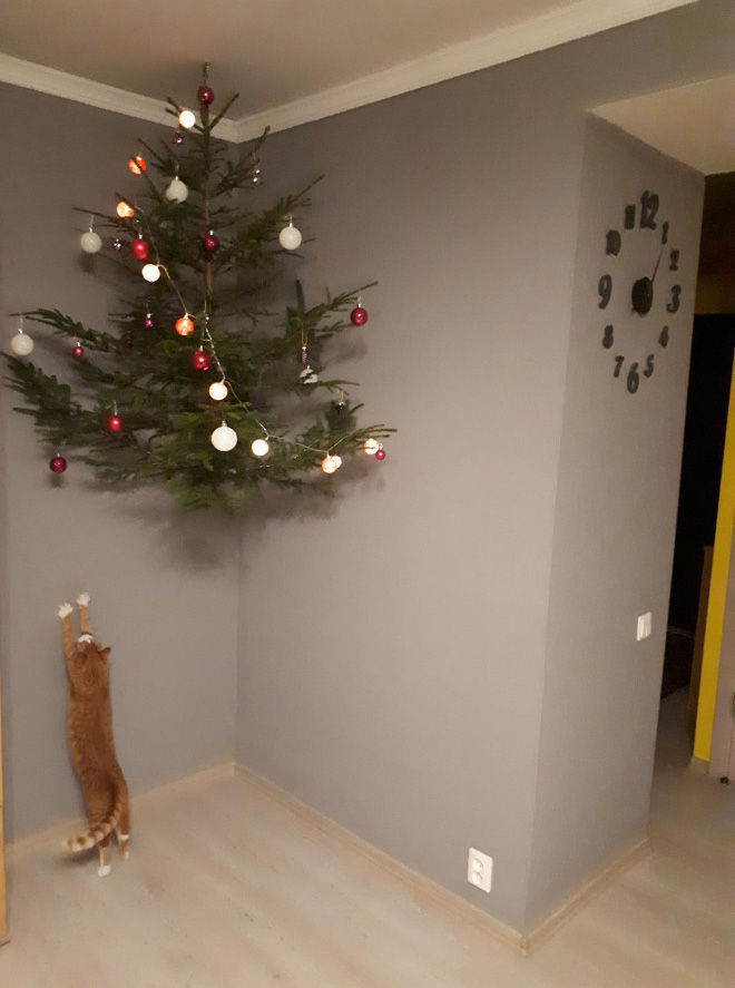 This Christmas tree is safe from cat attacks.