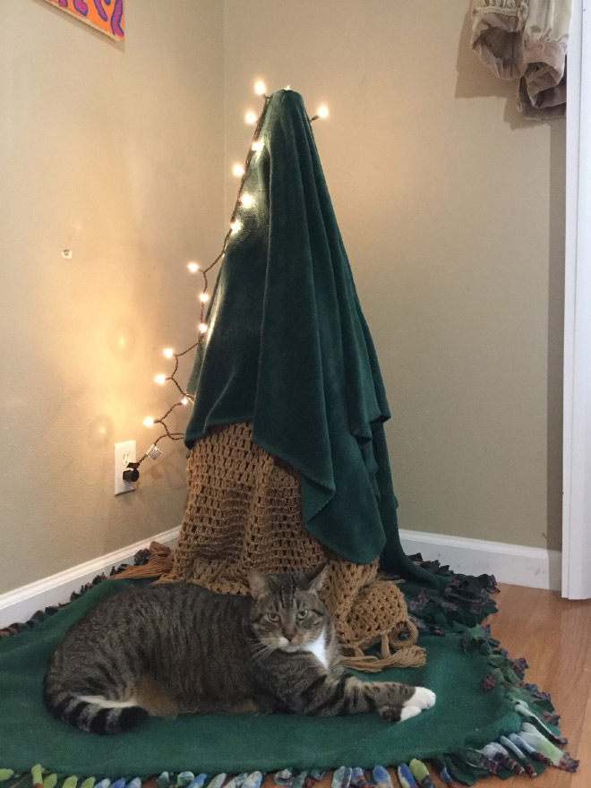 Christmas tree substitute for cat owners.