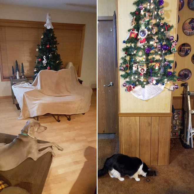 Keeping Christmas tree safe from pets.