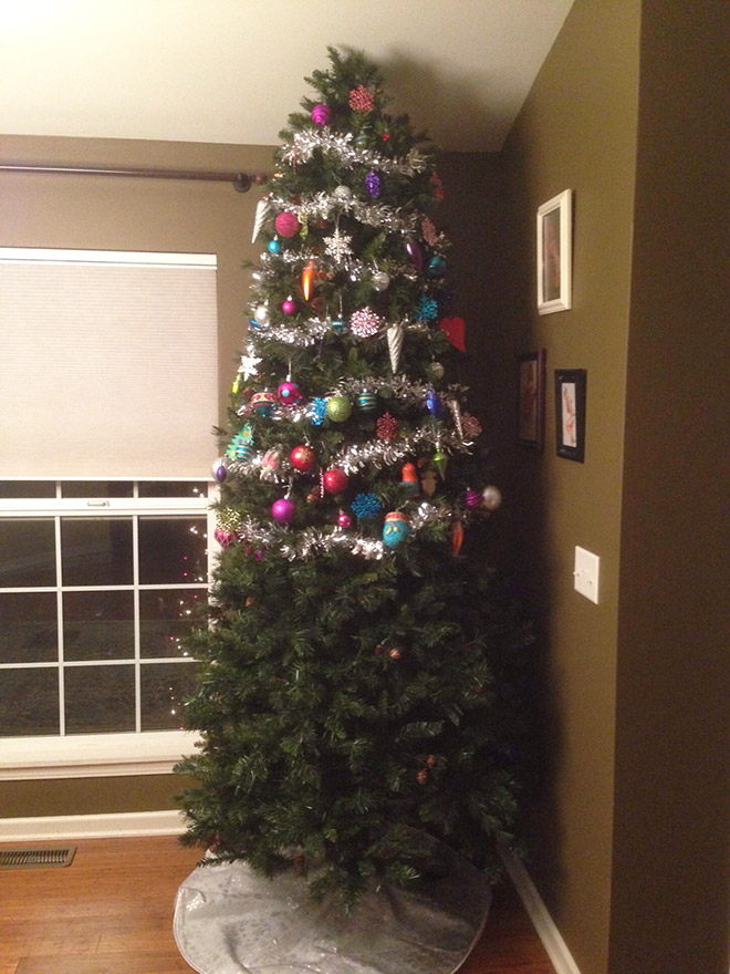 Protected Christmas tree.