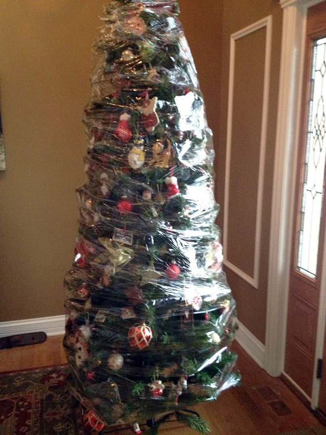 Pet-proofed Christmas tree.