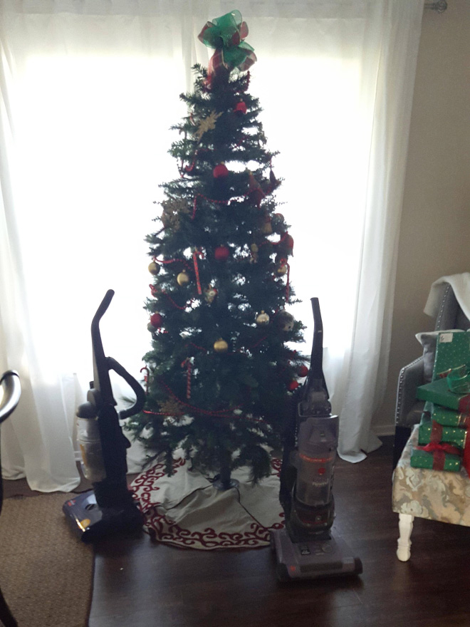 Dog-proofed Christmas tree.