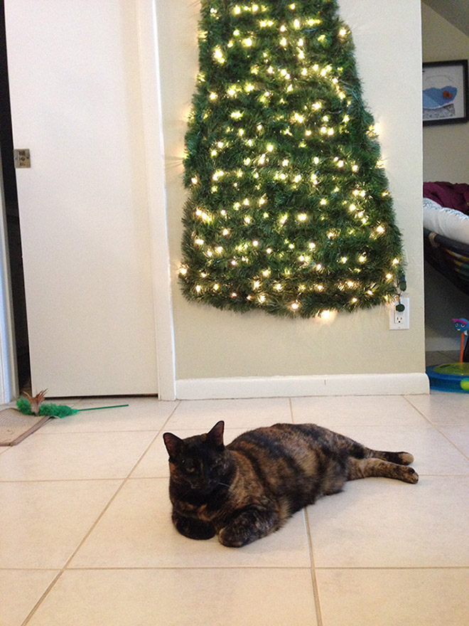 Cat-proofed Christmas tree.