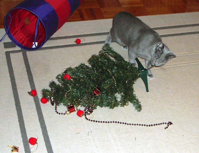 Tiny Christmas tree killer.