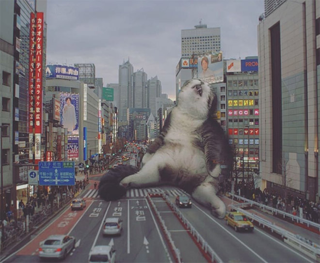 If giant cats lived in the city...