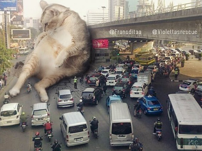 If huge cats lived among us...