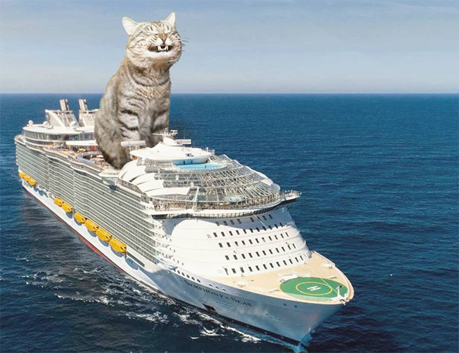 Godzilla cat vs. cruise ship.