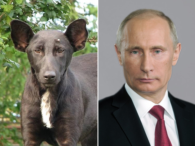 Putin and his double.