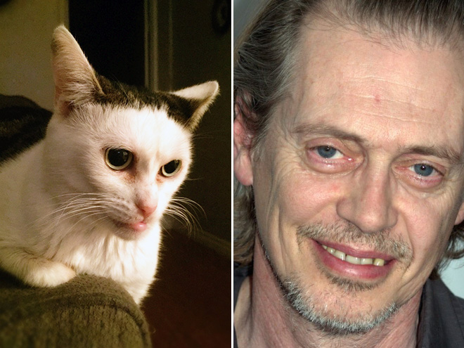 Steve Buscemi and his double.