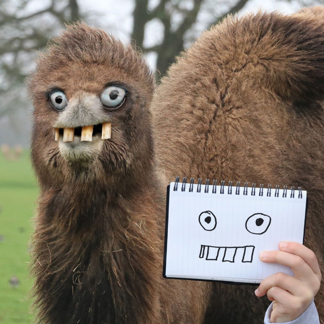 Camel doodle recreated as a real living thing.