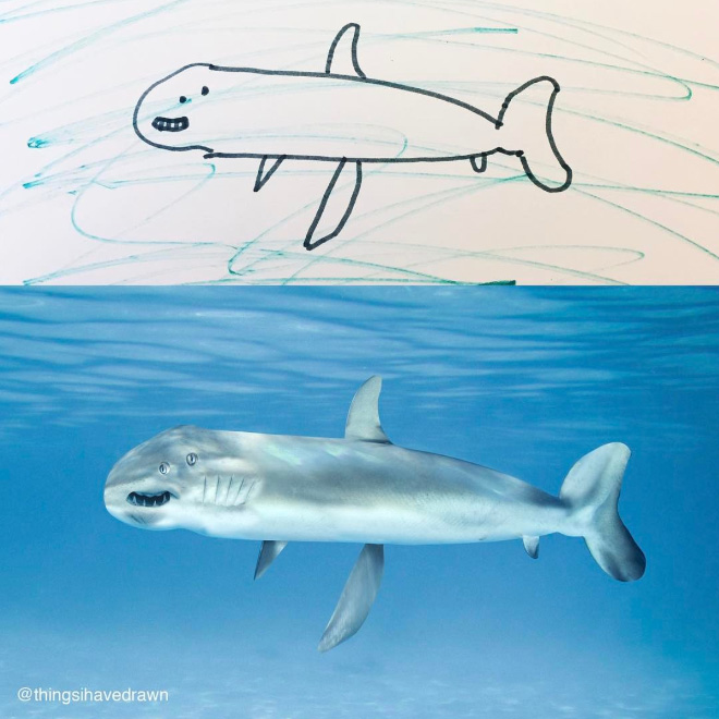Shark doodle recreated as a real living thing.