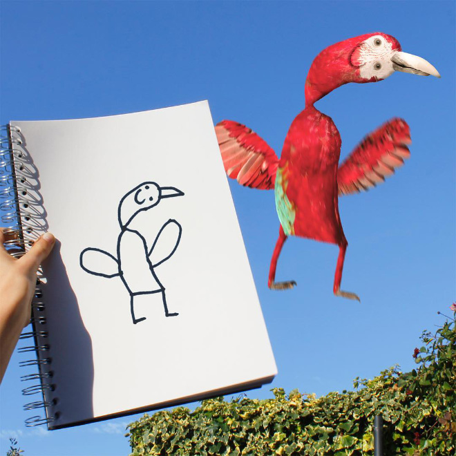 Bird doodle recreated as a real living thing.