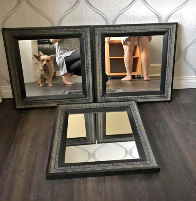Three mirrors for sale.