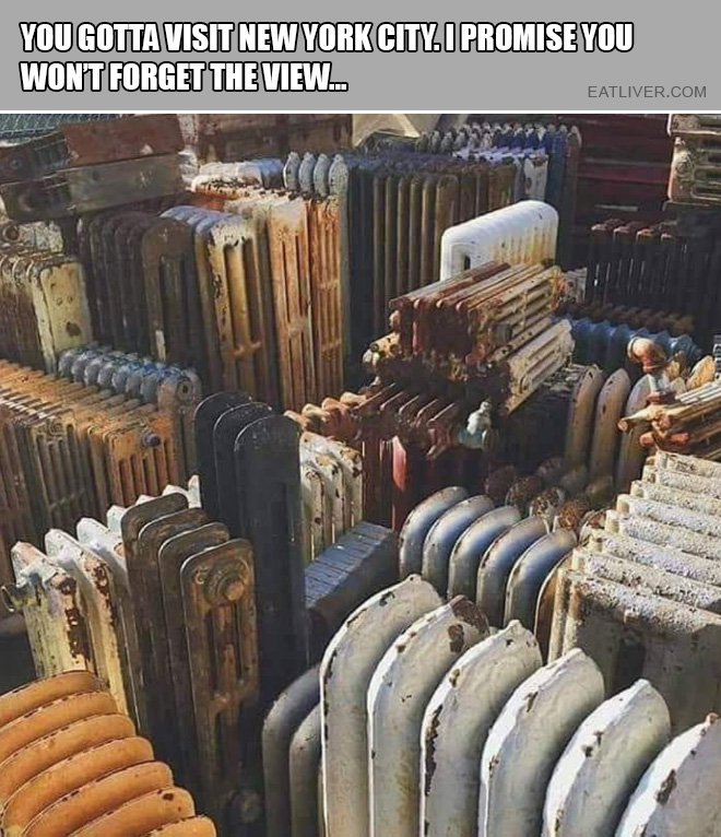 You gotta visit New York City. I promise you won't forget the view...